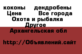 коконы    дендробены › Цена ­ 25 - Все города Охота и рыбалка » Другое   . Архангельская обл.
